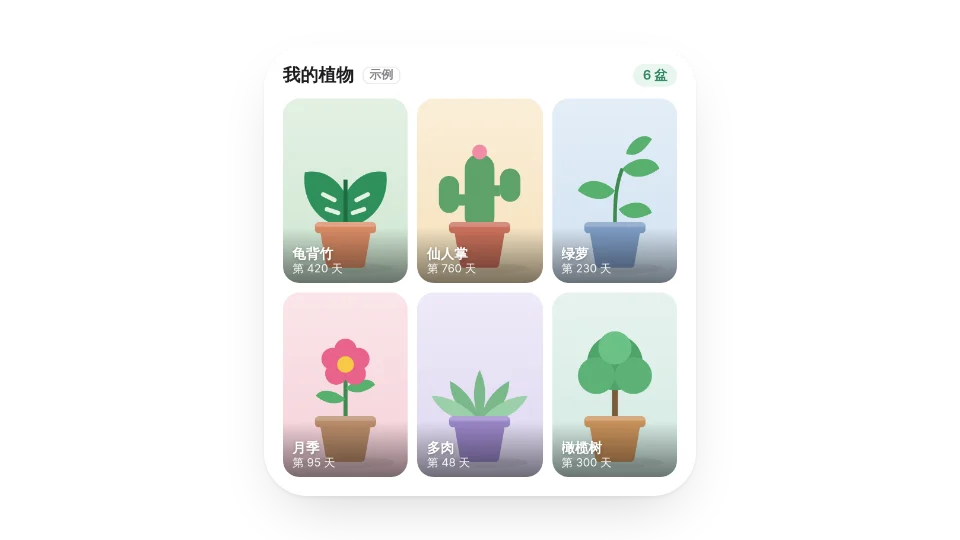组件封面